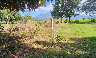 For Sal RESIDENTIAL LOT - 2 YEARS TO PAY