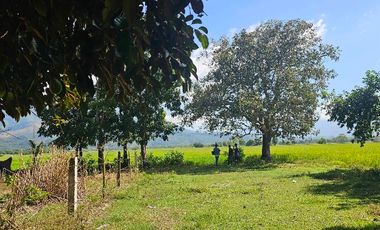 For Sal RESIDENTIAL LOT - 2 YEARS TO PAY