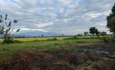 For Sal RESIDENTIAL LOT - 2 YEARS TO PAY