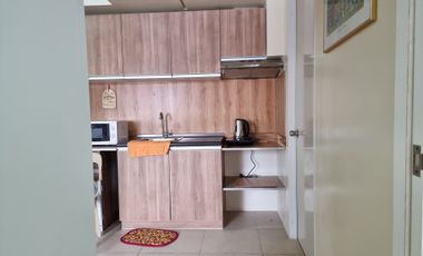 1 BEDROOM FULLY FURNISHED CONDOMINIUM