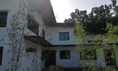 PROPERTY # 11397 - Big Lot with Two (2) Big Houses for Sale in Lapu Lapu