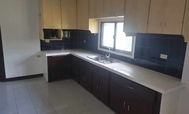 PROPERTY # 11397 - Big Lot with Two (2) Big Houses for Sale in Lapu Lapu