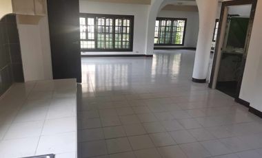 PROPERTY # 11397 - Big Lot with Two (2) Big Houses for Sale in Lapu Lapu