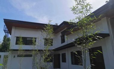 PROPERTY # 11397 - Big Lot with Two (2) Big Houses for Sale in Lapu Lapu
