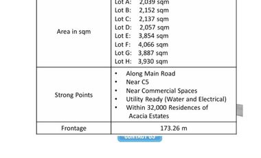 Lot for Rent Taguig Metro Manila 173.26 m frontage along the Main road