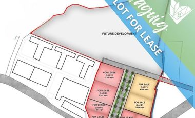 Lot for Rent Taguig Metro Manila 173.26 m frontage along the Main road