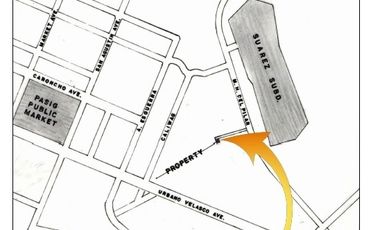 Pinagbuhatan  Pasig LOT Flexible  DP as low as P24K/m 4 apartment or warehouse