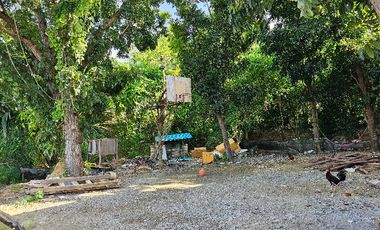 Titled Residential Lot for sale inside a peaceful subdivision
