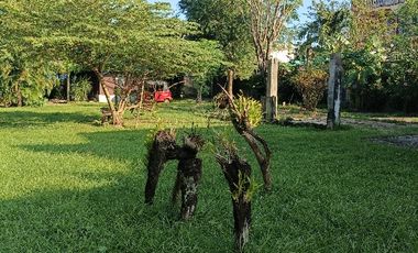 Puerto Galera House and Lot For Sale
