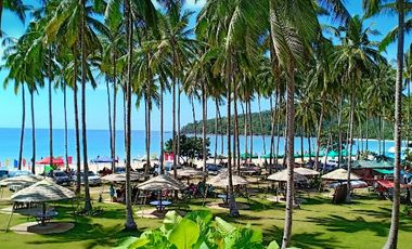 Beach Resort for Sale in Barangay Bacungan, Puerto Prinsesa, Palawan