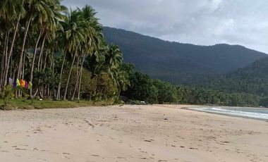 Beach Resort for Sale in Barangay Bacungan, Puerto Prinsesa, Palawan