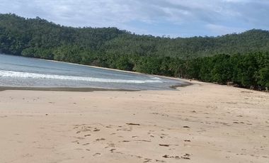 Beach Resort for Sale in Barangay Bacungan, Puerto Prinsesa, Palawan
