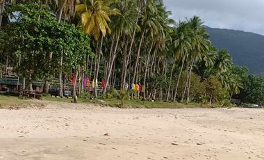 Beach Resort for Sale in Barangay Bacungan, Puerto Prinsesa, Palawan