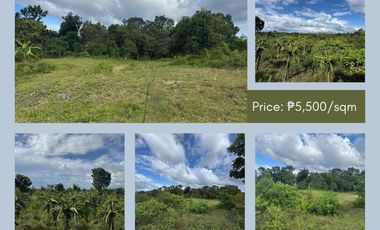 TAGBILARAN LOT FOR SALE - 5000 square meter