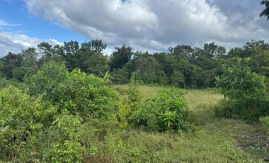 TAGBILARAN LOT FOR SALE - 5000 square meter