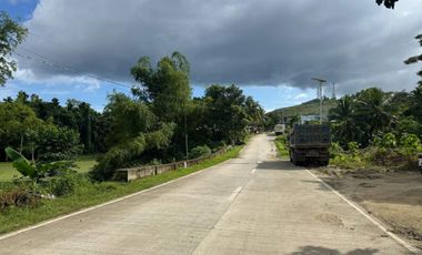 TAGBILARAN LOT FOR SALE - 5000 square meter