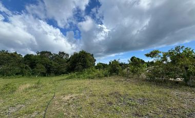TAGBILARAN LOT FOR SALE - 5000 square meter