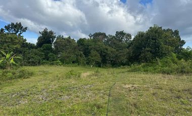 TAGBILARAN LOT FOR SALE - 5000 square meter