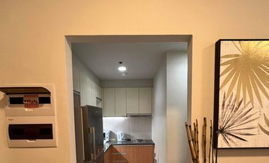 Spacious One Manchester Place Mactan Newtown