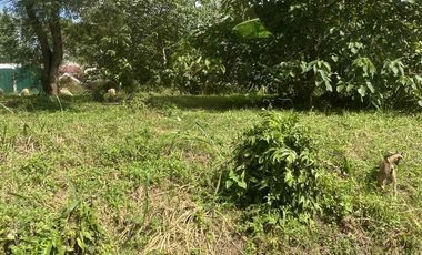 For Sale Tagaytay Highlands Residential Lot Plantation Hills Suplang, Tanauan at Tagaytay Highlands