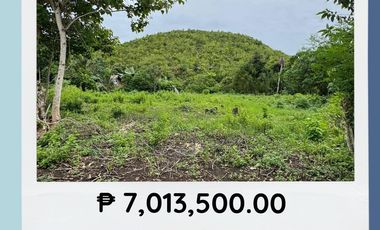 LOT FOR SALE @ Bool Tagbilaran Near at BANAT-E