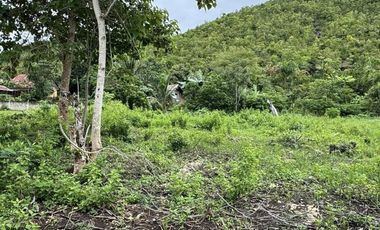 LOT FOR SALE @ Bool Tagbilaran Near at BANAT-E
