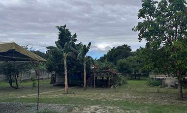 Residential Lot 4,500 sqm in Brgy. Sta Maria Magalang, Pampanga for Sale