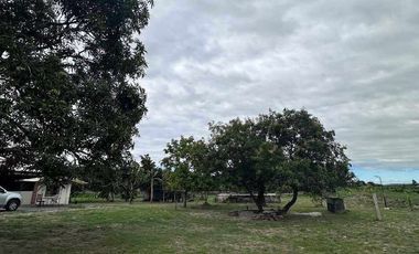 Residential Lot 4,500 sqm in Brgy. Sta Maria Magalang, Pampanga for Sale