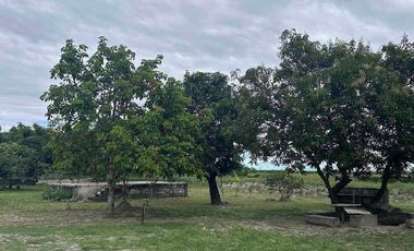 Residential Lot 4,500 sqm in Brgy. Sta Maria Magalang, Pampanga for Sale