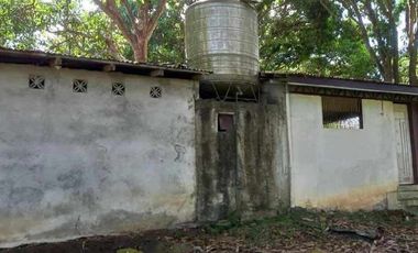 Residential Lot 1 Hectare in Brgy. San Agustin Magalang, Pampanga for Sale