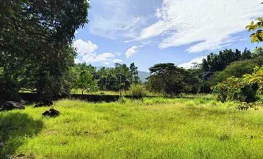 Residential Lot 1 Hectare in Brgy. San Agustin Magalang, Pampanga for Sale