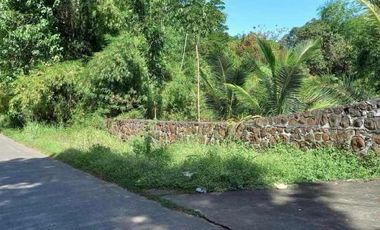 Residential Lot 1 Hectare in Brgy. San Agustin Magalang, Pampanga for Sale