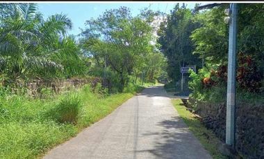 Residential Lot 1 Hectare in Brgy. San Agustin Magalang, Pampanga for Sale