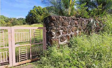 Residential Lot 1 Hectare in Brgy. San Agustin Magalang, Pampanga for Sale