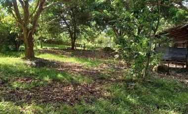 Residential Lot 1 Hectare in Brgy. San Agustin Magalang, Pampanga for Sale