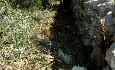 Lote en Venta en Conkal, Merida Yucatán