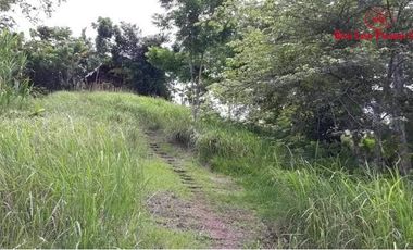 Live With Nature | Overlooking Lot With City View And Small River