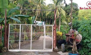 Live With Nature | Overlooking Lot With City View And Small River