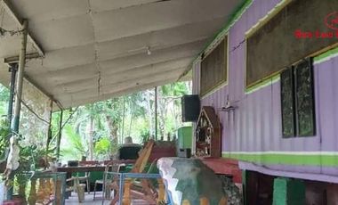 Live With Nature | Overlooking Lot With City View And Small River