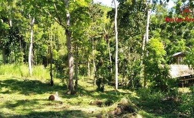 Live With Nature | Overlooking Lot With City View And Small River