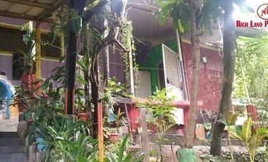 Live With Nature | Overlooking Lot With City View And Small River