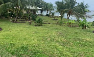 BEACHFRONT LOT FOR SALE IN SIQUIJOR – IDEAL FOR HOME, BUSINESS & FARMING!