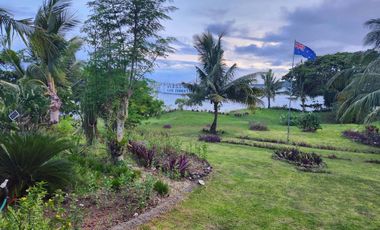 BEACHFRONT LOT FOR SALE IN SIQUIJOR – IDEAL FOR HOME, BUSINESS & FARMING!