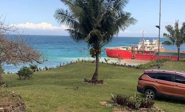 BEACHFRONT LOT FOR SALE IN SIQUIJOR – IDEAL FOR HOME, BUSINESS & FARMING!