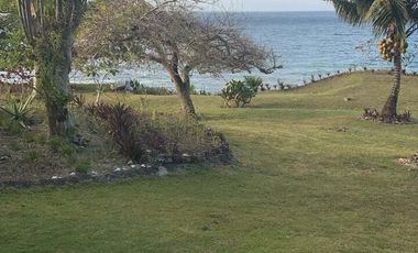BEACHFRONT LOT FOR SALE IN SIQUIJOR – IDEAL FOR HOME, BUSINESS & FARMING!