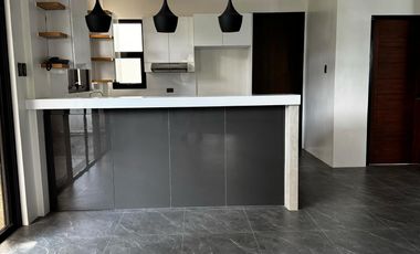New listing❗️ Brand New Contemporary Home near SM Telabastagan