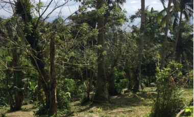 Lot For Sale in Tagaytay with Overlooking Taal Lake. Best Buy!