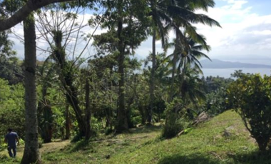 Lot For Sale in Tagaytay with Overlooking Taal Lake. Best Buy!