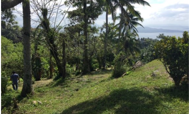 Lot For Sale in Tagaytay with Overlooking Taal Lake. Best Buy!