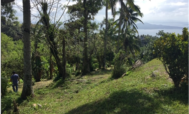 Lot For Sale in Tagaytay with Overlooking Taal Lake. Best Buy!